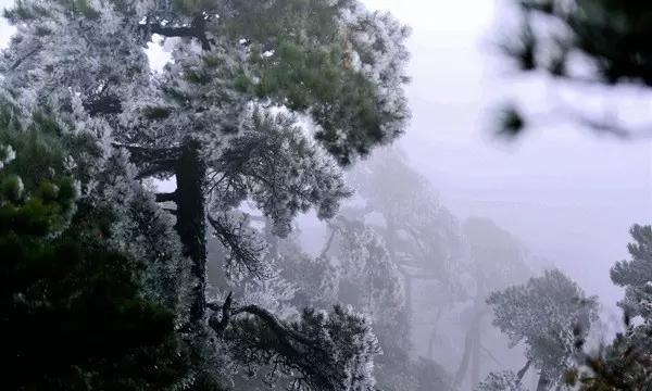 日常照片拼图